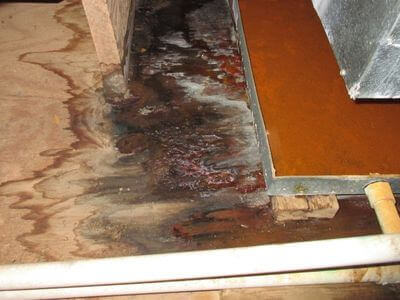 About Thalvex Forge - water damage restoration experts in El Monte