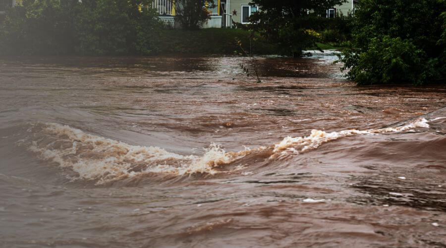 Why choose Thalvex Forge for water damage restoration in El Monte